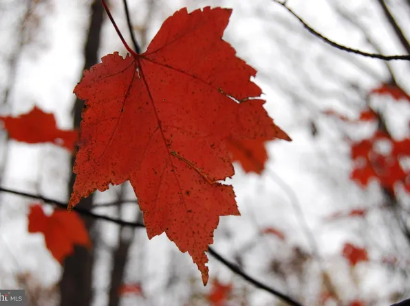 12 Tall Pines Ln, Berkeley Springs, WV 25411