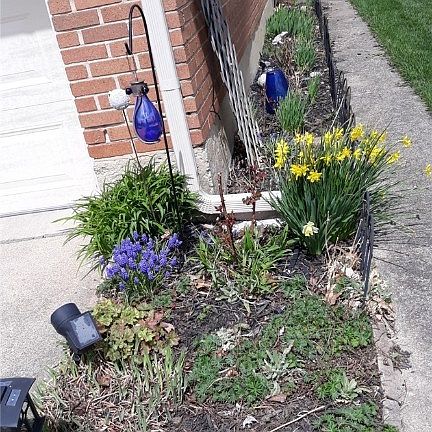 3rd image of 99 Madrid Ave