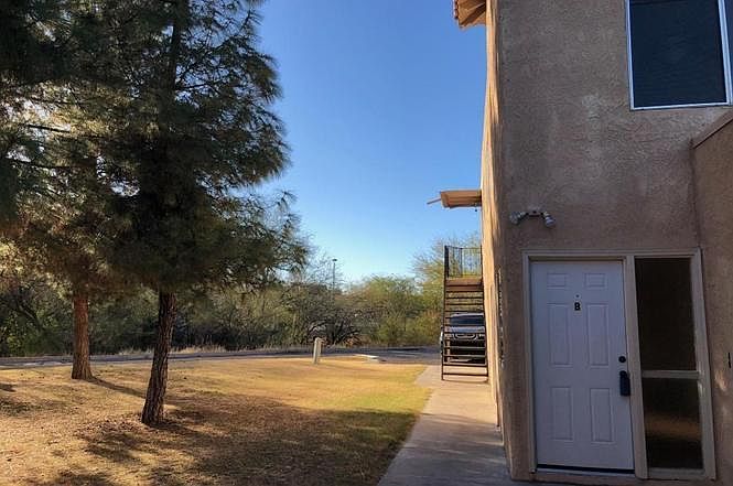 Plenty of vegetation and running trails.