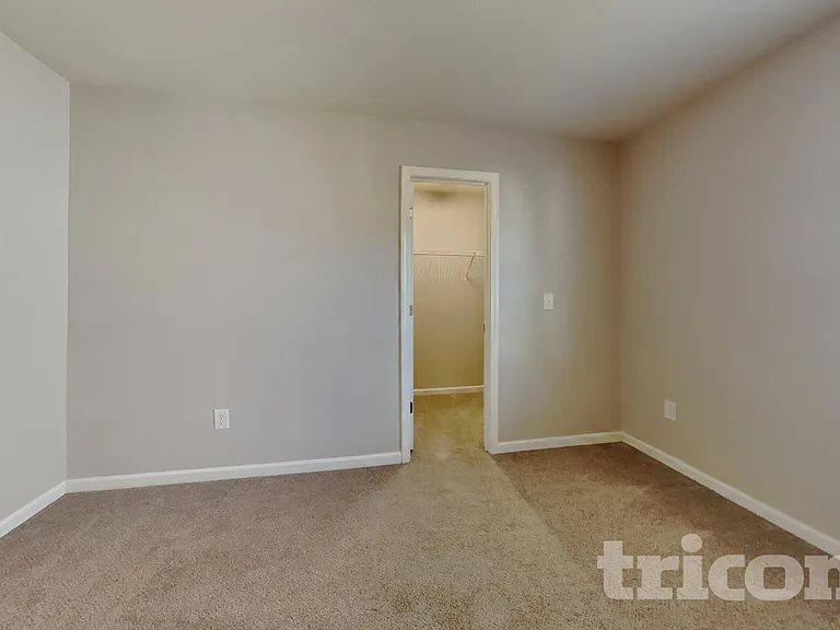 4217 Piedmont Farms Way — Photo 6