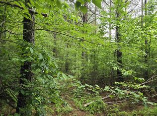 13 Holly Woods, Robbins, TN 37852