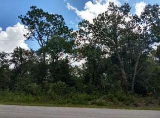 0 SE 97th Ave, Summerfield, FL 34491