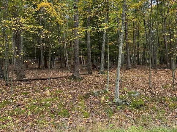 289 Forest Dr, Canadensis, PA 18325