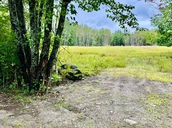 Lot 96 Heath Road, Milbridge, ME 04658