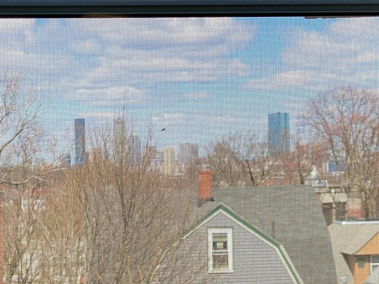45 Fox St — Photo 18