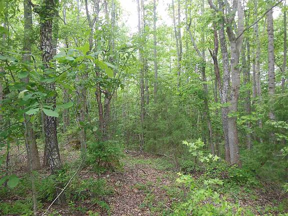 5th image of 22 Maple Springs Ln Lot 22