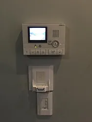 Rented by P Management