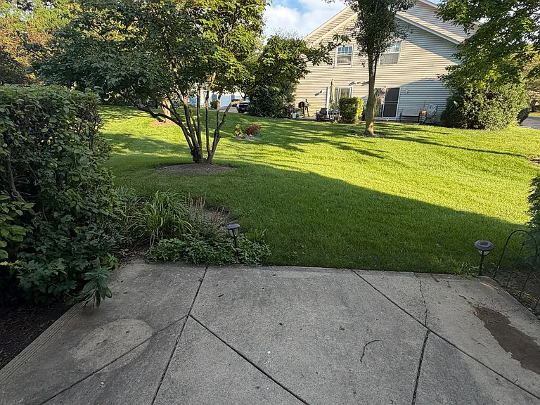 371 Wisteria Dr — Photo 2