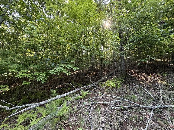 2nd image of LOT 6&7 Mill Ridge Rd