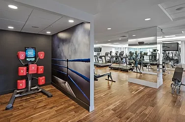 Rented by The Moinian Group