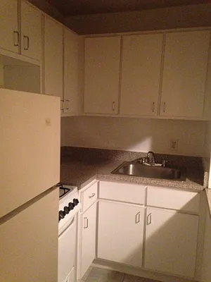 Rented by First Executive Realty Inc | media 4