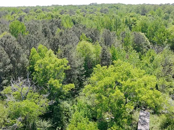 4049 Bethsaida Rd, Boaz, AL 35957