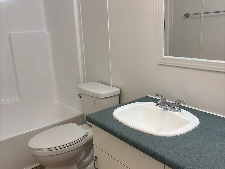 Hall bathroom