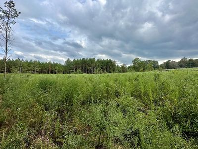 2346 Trace Loop SW, Bogue Chitto, MS, 39629