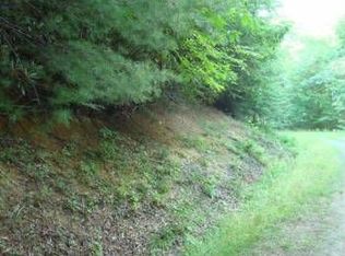 104 Chicory Ln, Banner Elk, NC 28604