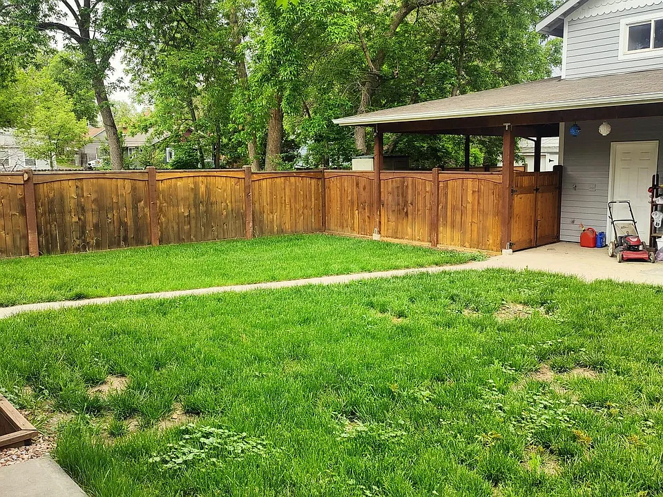 Shared backyard