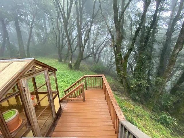 3500 Portola Heights Rd — Photo 20