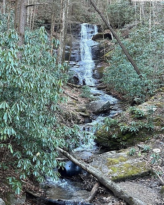 1800 Darnell Creek Rd, Millers Creek, NC 28651 MLS 242254 Zillow