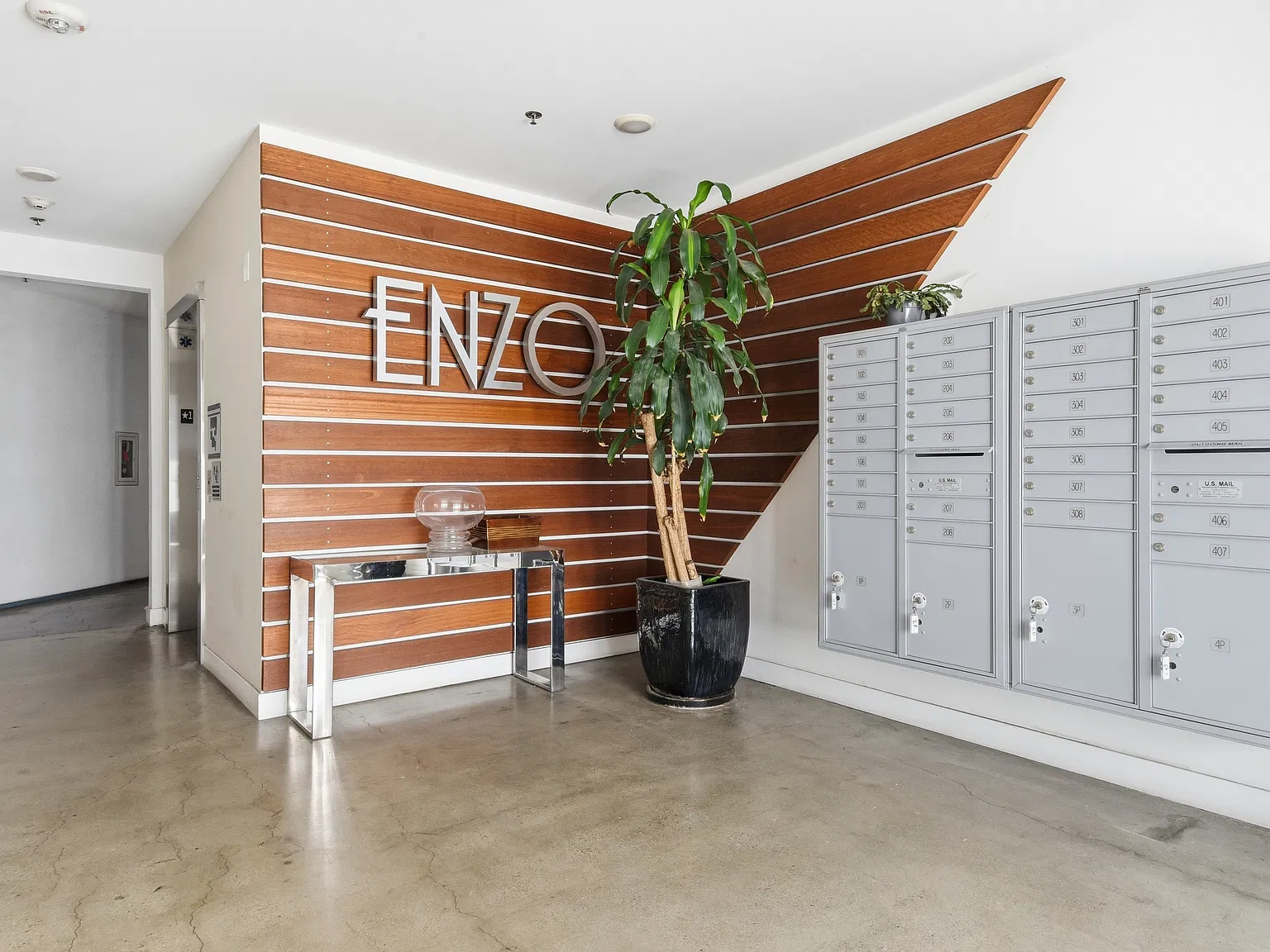 Enzo — Photo 3