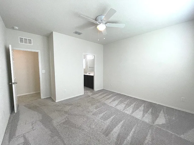 208 Texas Thistle — Photo 9