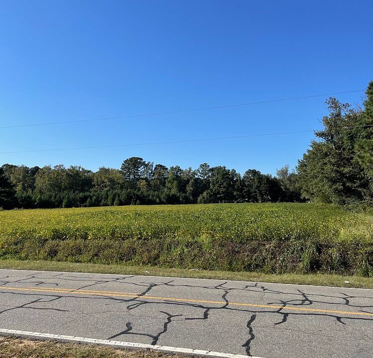 0 Old Dam Rd, Kenly, NC 27542 Zillow