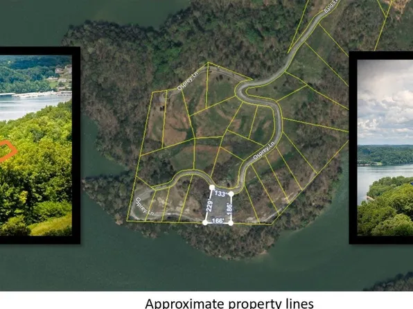 7 Bald Eagle Rd Lot 7D, Hilham, TN 38568