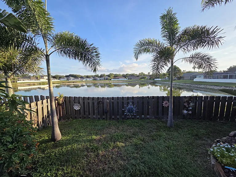 Pond