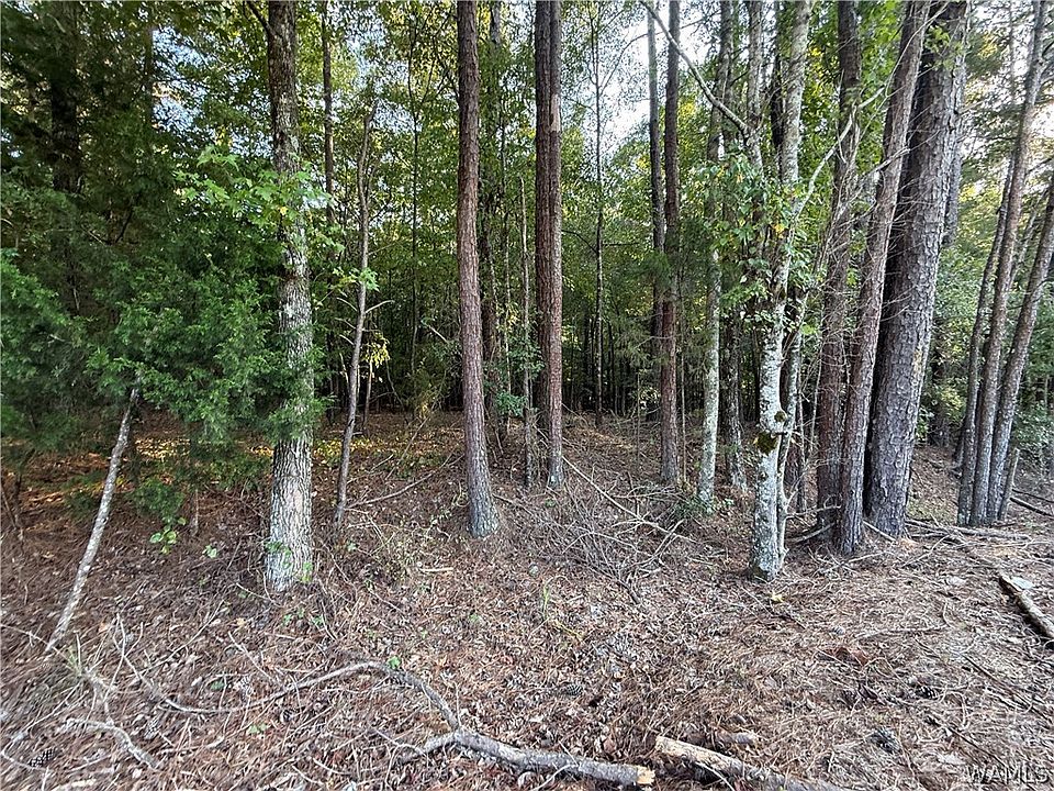 2nd image of 15149 Wire Rd