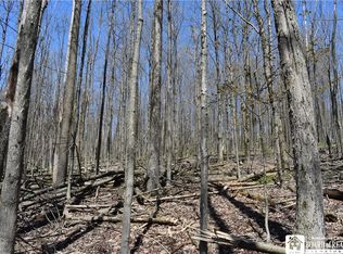 0 Cleland Rd Lot 34, Cherry Creek, NY 14723