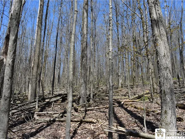 0 Cleland Rd Lot 34, Cherry Creek, NY 14723