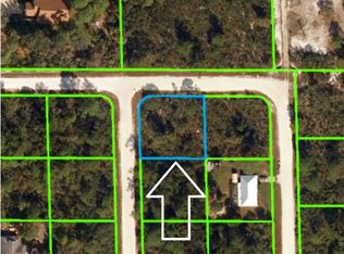 100 Corine Ave NW, Lake Placid, FL 33852