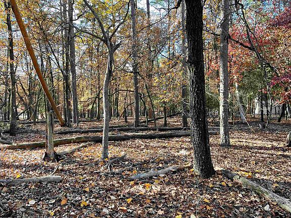2nd image of Birchwood Holly Lake Rnch