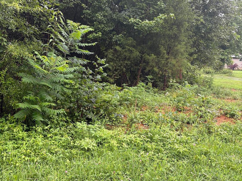 2nd image of 349 Carolyn Ln