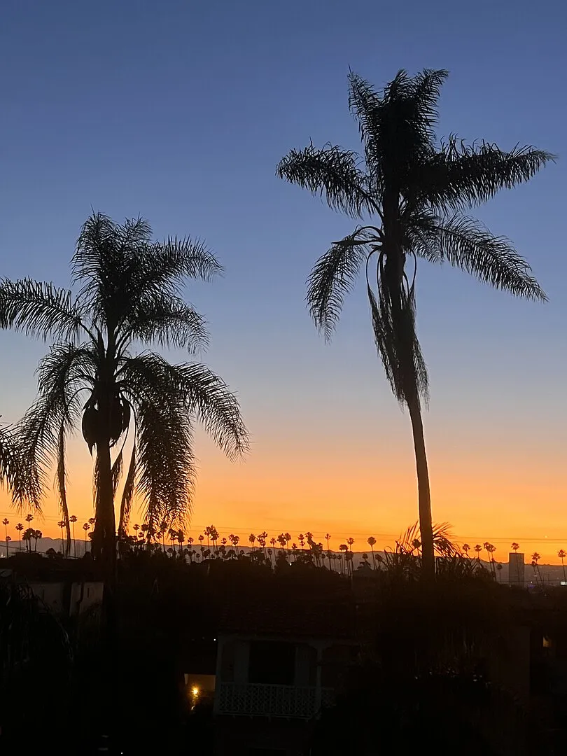 Peaceful Mid City Oasis — Photo 2