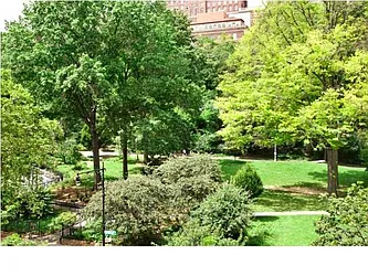 Rented by Harlem Lofts