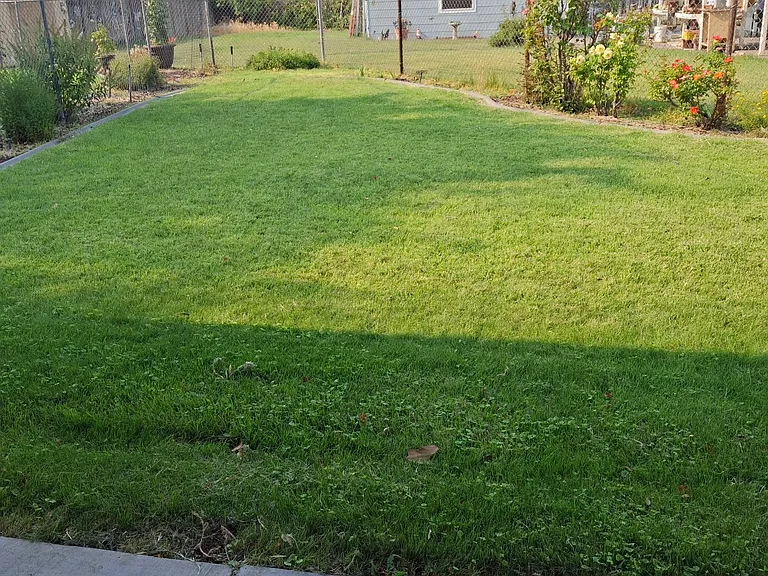 902 Williams Blvd — Photo 12
