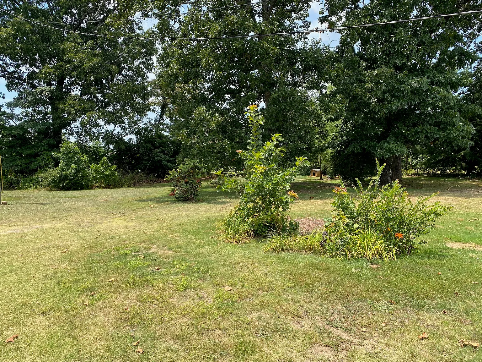 3 bed, 1855 sqft, $1,850 — Photo 4