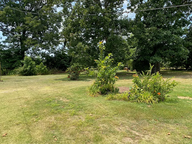 6909 White Horse Rd — Photo 4