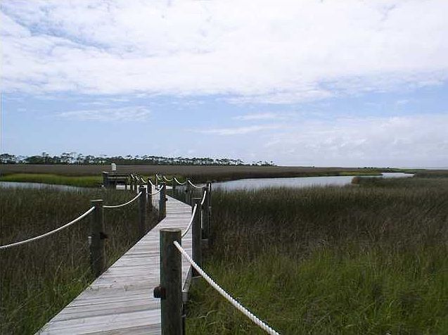 dock, view from house