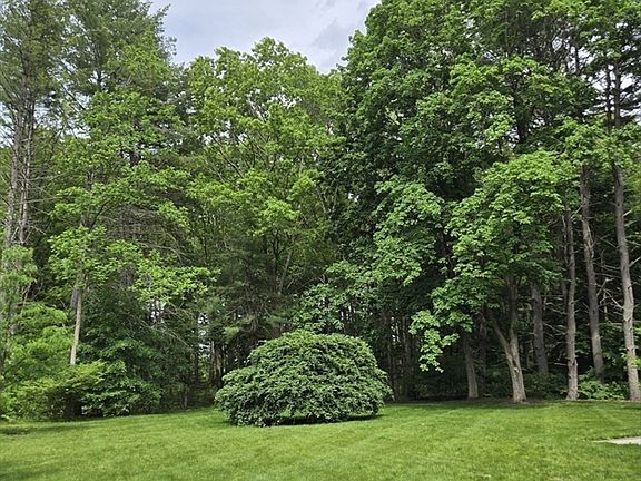 2nd image of 135 Williams Rd