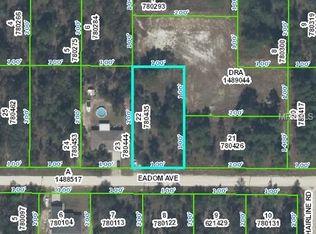 13337 Eadom Ave, Weeki Wachee, FL 34614