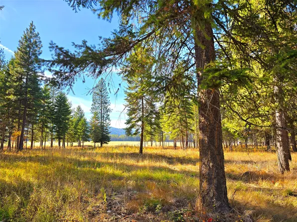 19 Faro Ln, Trout Creek, MT 59874