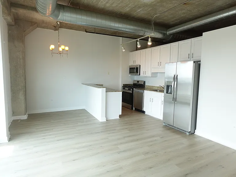 1550 S Blue Island Ave #1022 — Photo 8