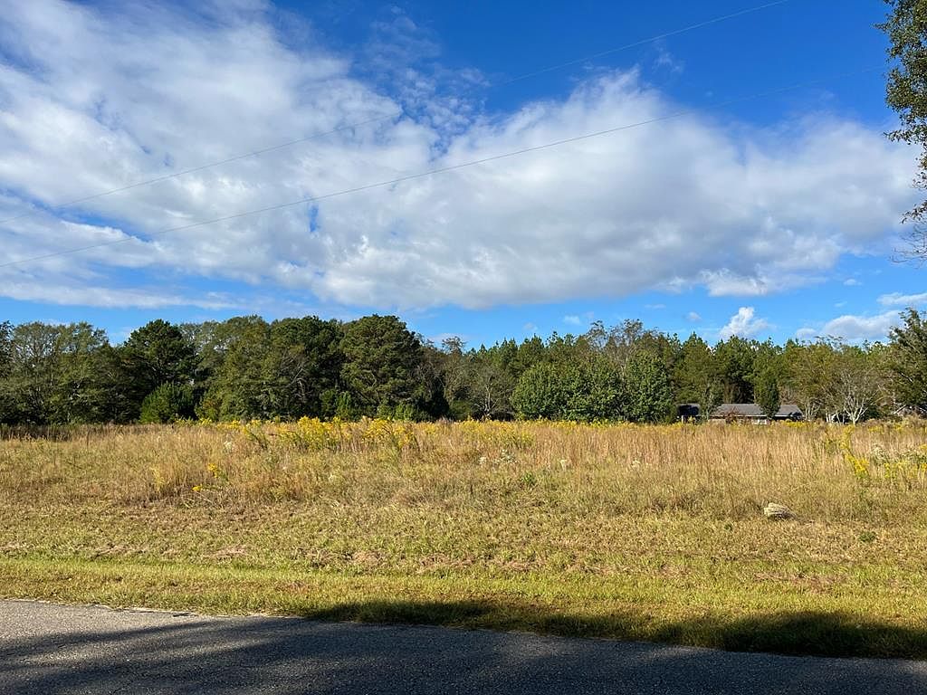 45 & 6 Lazy Acre, Clayton, AL 36016 MLS 25432 Zillow