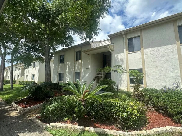 119 Cypress Ct, Oldsmar, FL 34677