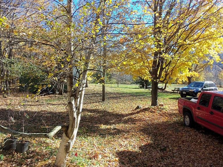 254 Roses Brook Rd Stamford NY Zillow
