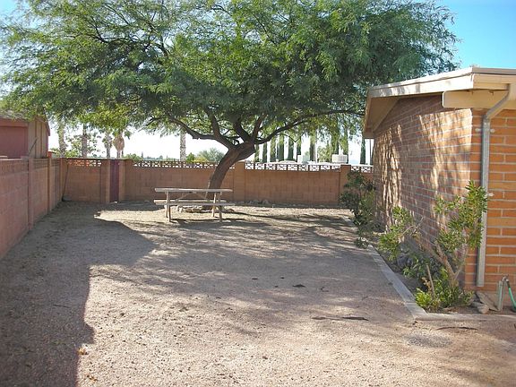 South View of Backyard