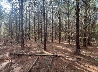 Oakey Streak Rd, Greenville, AL 36037