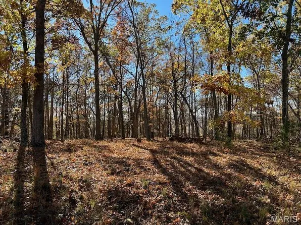 5046 Squire Ln #5046, Cedar Hill, MO 63016