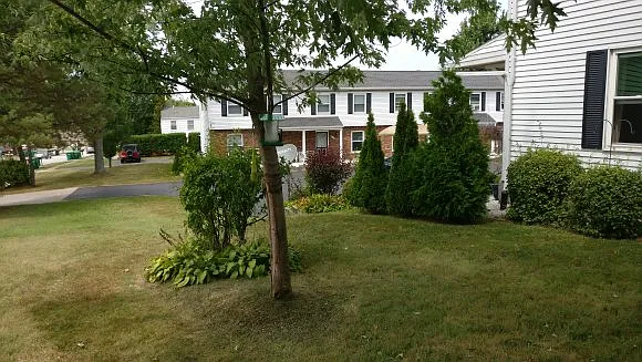 2 bed, 1.5 bath, 1000 sqft, $1,000 — Photo 3